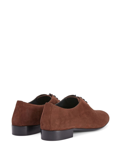 Shop Giuseppe Zanotti Roger Suede Derby Shoes In Braun