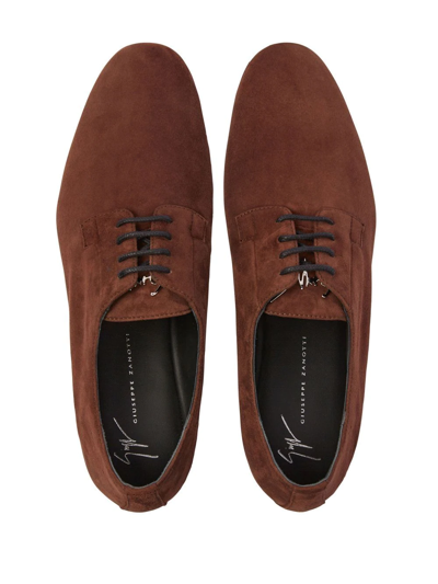 Shop Giuseppe Zanotti Roger Suede Derby Shoes In Braun