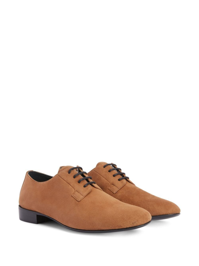 Shop Giuseppe Zanotti Roger Derby Shoes In Braun