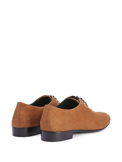 Shop Giuseppe Zanotti Roger Lace-up Oxford Shoes In Braun