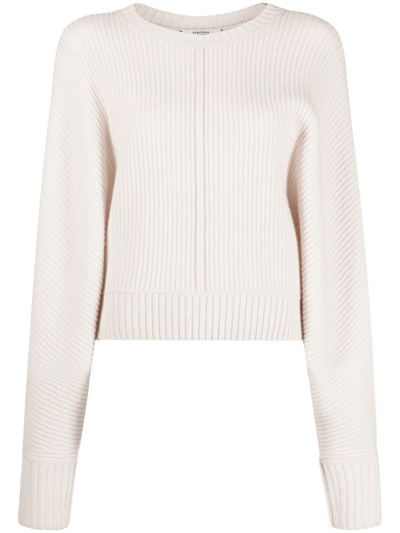 Shop Dorothee Schumacher Ribbed Wool-cashmere Jumper In Nude