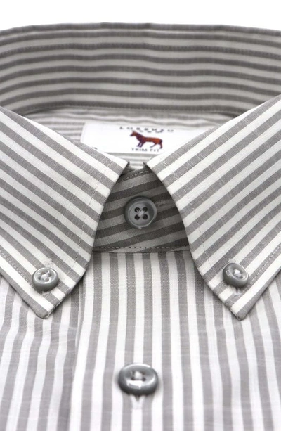 Shop Lorenzo Uomo Trim Fit Stripe Dress Shirt In Tan/ White