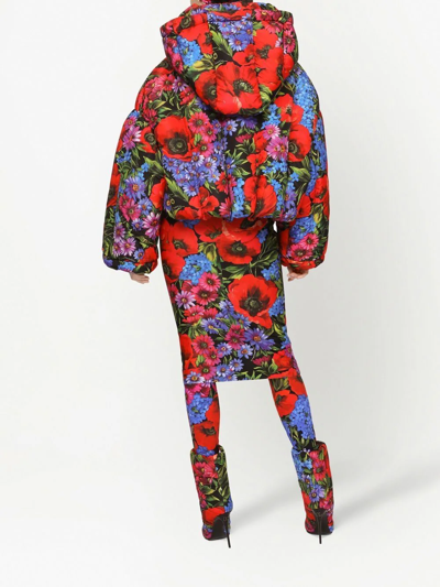 Dolce & Gabbana Cropped Padded Floral-print Shell Hooded Jacket In Black