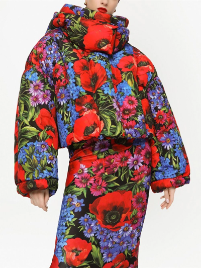 Dolce & Gabbana Cropped Padded Floral-print Shell Hooded Jacket In Black