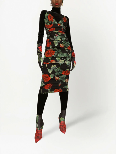 Shop Dolce & Gabbana Rose-print Midi Dress In Black