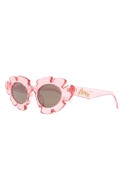 Shop Loewe 47mm Tinted Oval Sunglasses In Shiny Pink / Brown