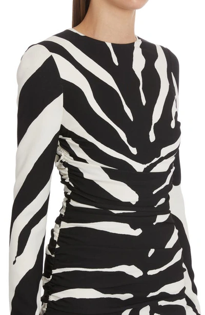 Shop Dolce & Gabbana Cady Zebra Long Sleeve Dress In Hw3tu Zebra New