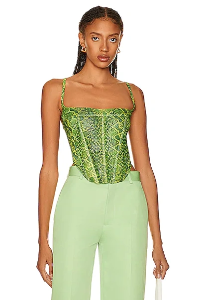 Shop Miaou Love Corset Top In Lime Python
