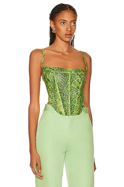 Shop Miaou Love Corset Top In Lime Python