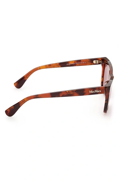 Max Mara 55mm Rectangular Sunglasses In Red Havana / Bordeaux