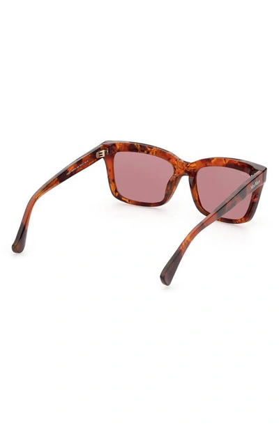 Max Mara 55mm Rectangular Sunglasses In Red Havana / Bordeaux