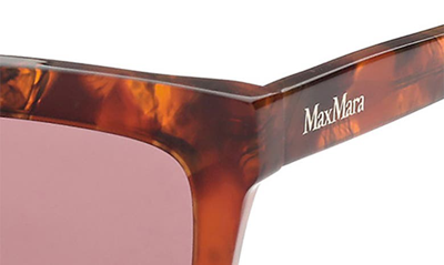Max Mara 55mm Rectangular Sunglasses In Red Havana / Bordeaux