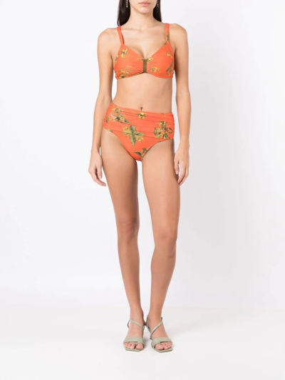 Shop Lygia & Nanny Floral-print Bikini Bottoms In Orange