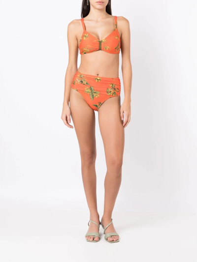 Lygia & Nanny Floral-print Bikini Bottoms In Orange