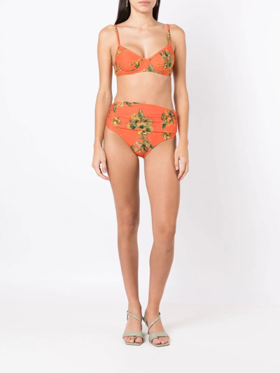 Shop Lygia & Nanny Liliane Floral-print Bikini In Orange