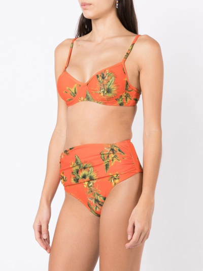 Shop Lygia & Nanny Liliane Floral-print Bikini In Orange