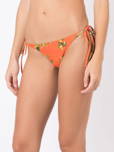 Shop Lygia & Nanny Thai Floral-print Bikini Bottoms In Orange