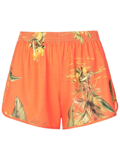 Shop Lygia & Nanny Floral-print High-waist Shorts In Orange