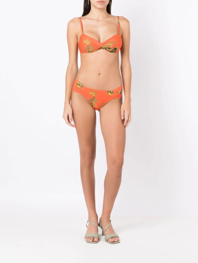 Shop Lygia & Nanny Floral-print Two-piece Bikini In Orange