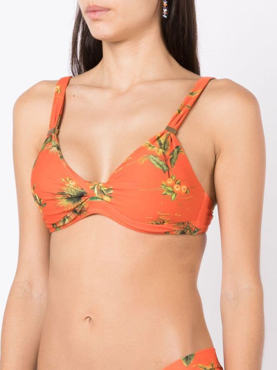 Lygia & Nanny Carla Floral-print Bikini Top In Orange