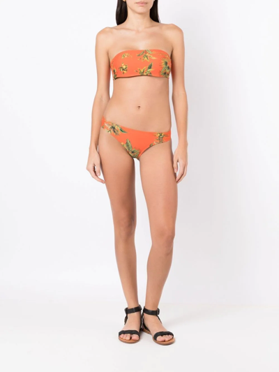 Lygia & Nanny Bajja Floral-print Bikini Top In Orange