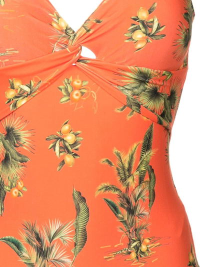 Shop Lygia & Nanny Adriana Floral-print Swimsuit In Orange