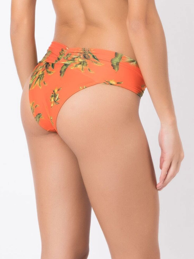 Shop Lygia & Nanny Jasper Floral-print Bikini Bottoms In Orange