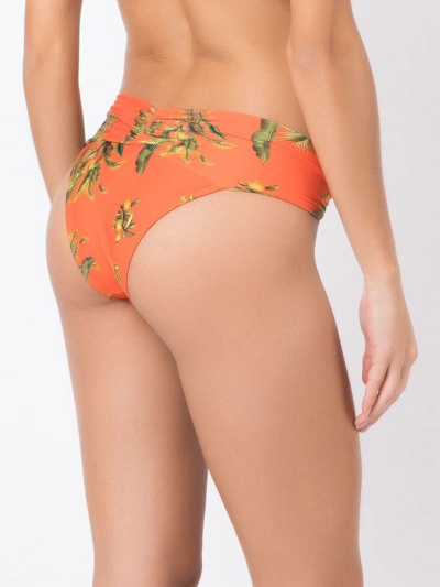 Lygia & Nanny Jasper Floral-print Bikini Bottoms In Orange