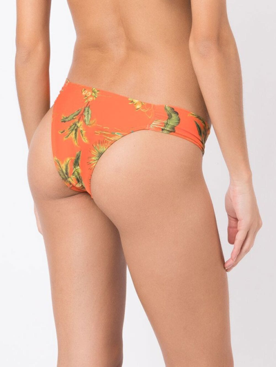 Shop Lygia & Nanny Tropical Ritz Pants In Orange