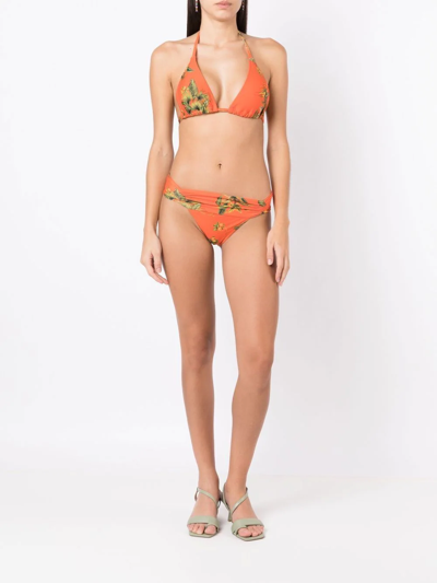 Lygia & Nanny Floral-print Halterneck Bikini Top In Orange