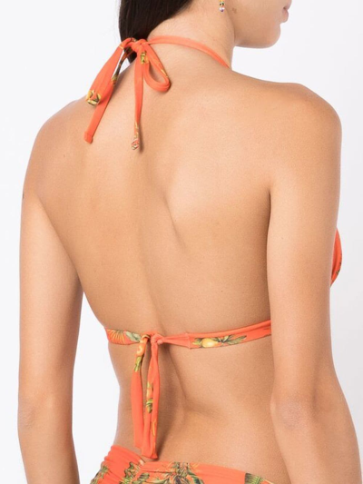 Shop Lygia & Nanny Floral-print Halterneck Bikini Top In Orange