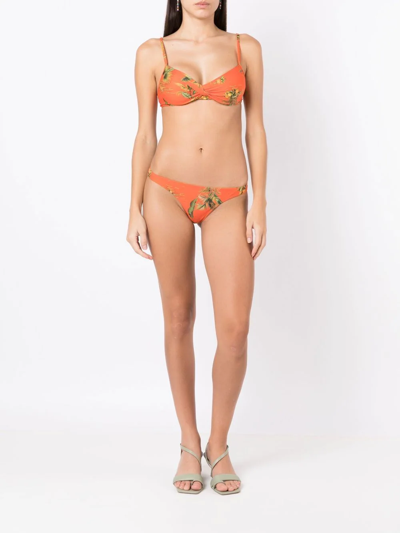 Lygia & Nanny Floral-print Bikini Bottoms In Orange