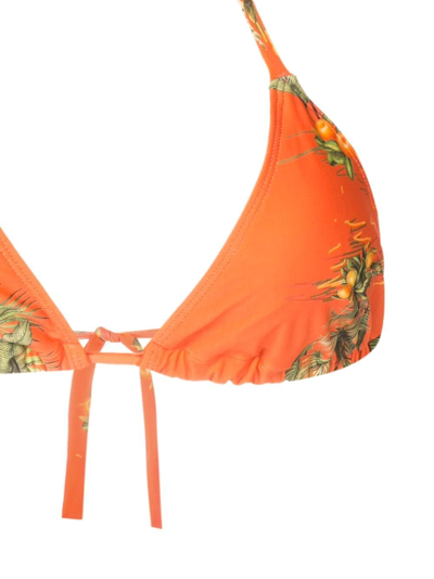 Shop Lygia & Nanny Floral-print Halterneck Bikini Top In Orange