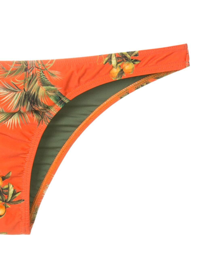 Lygia & Nanny Floral-print Bikini Bottoms In Orange