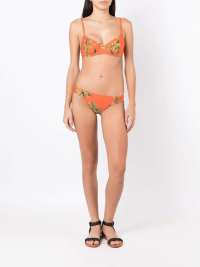 Shop Lygia & Nanny Figi Floral-print Bikini Top In Orange