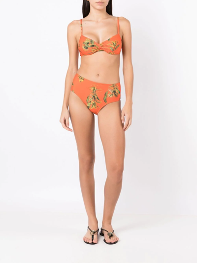 Shop Lygia & Nanny Floral-print Two-piece Bikini In Orange