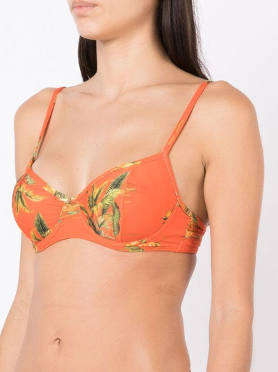 Shop Lygia & Nanny Figi Floral-print Bikini Top In Orange