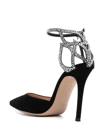 Shop Gianvito Rossi Crystal Fleur 105mm Suede Pumps In Black