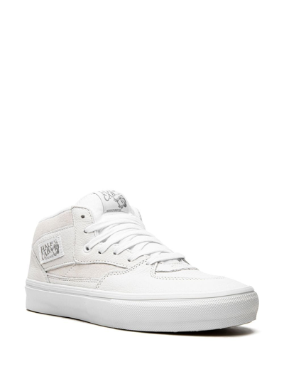 Shop Vans Half Cab Daz Sneakers In White