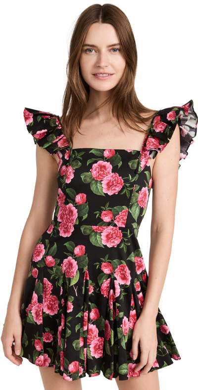 Shop Alice And Olivia Ginny Ruffle Sleeve Godet Dress In Cheri Floral
