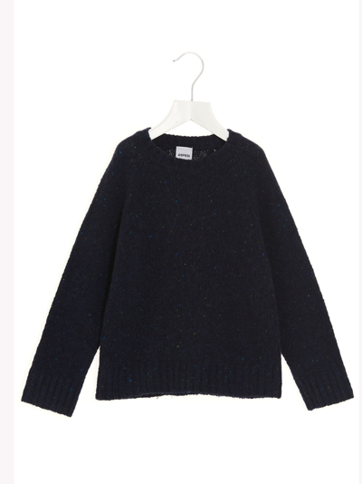 Shop Aspesi Tricot Sweater In Blue