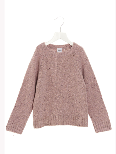 Shop Aspesi Tricot Sweater In Pink