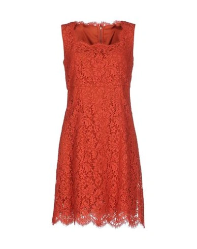 Dolce & Gabbana Short Dress In Rust