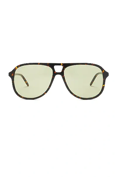 Shop Gucci Gg1156s Sunglasses In Shiny Spotted Black Havana & Solid Green