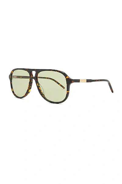 Shop Gucci Gg1156s Sunglasses In Shiny Spotted Black Havana & Solid Green