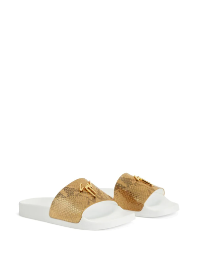 Shop Giuseppe Zanotti Brett Snakeskin-effect Slides In Gold