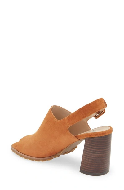 Shop Pelle Moda Ode Slingback Sandal In Cognac