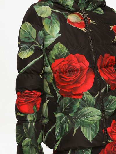 Shop Dolce & Gabbana Floral-print Short Down Jacket In Schwarz