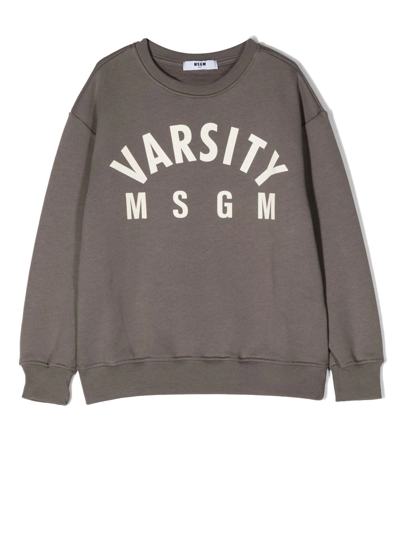 Msgm Logo-print Cotton Sweatshirt In Grau