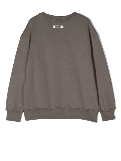 Shop Msgm Logo-print Cotton Sweatshirt In Grau